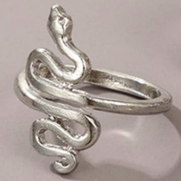 Silver Tone Open Style Adjustable Snake Ring - Picture 5 of 15